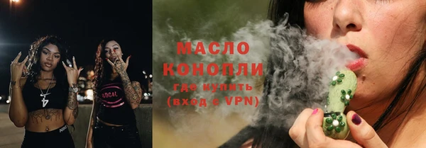 мдпв Бородино