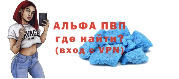 мдпв Бородино