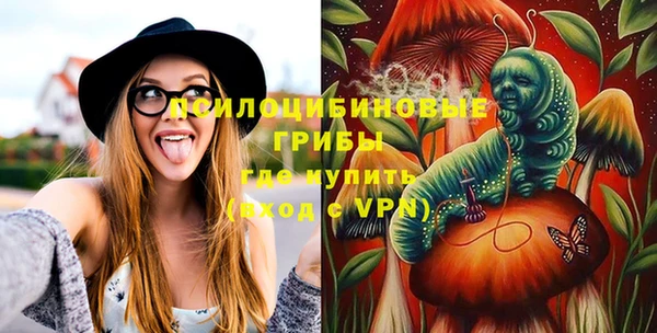 ПСИЛОЦИБИНОВЫЕ ГРИБЫ Бугульма