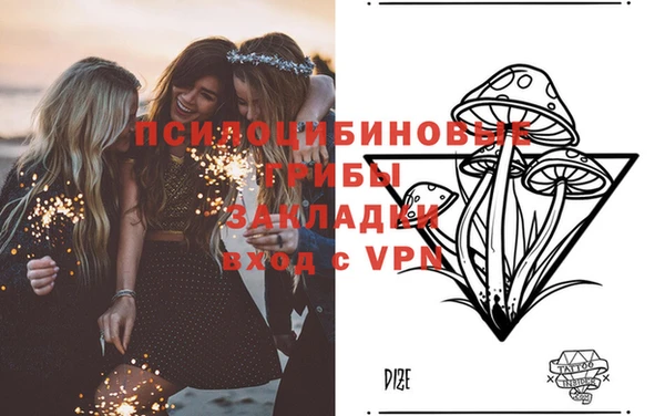 ПСИЛОЦИБИНОВЫЕ ГРИБЫ Бугульма