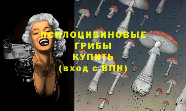ПСИЛОЦИБИНОВЫЕ ГРИБЫ Бугульма