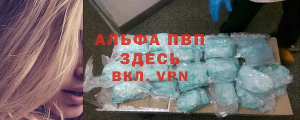 мдпв Бородино