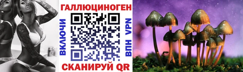 Галлюциногенные грибы MAGIC MUSHROOMS  Городец 
